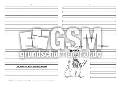 Kamel-Faltbuch-vierseitig-1.pdf